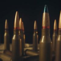 Ammo - Shutterstock