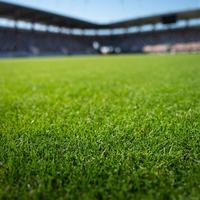 Turf at Stadium - Shutterstock