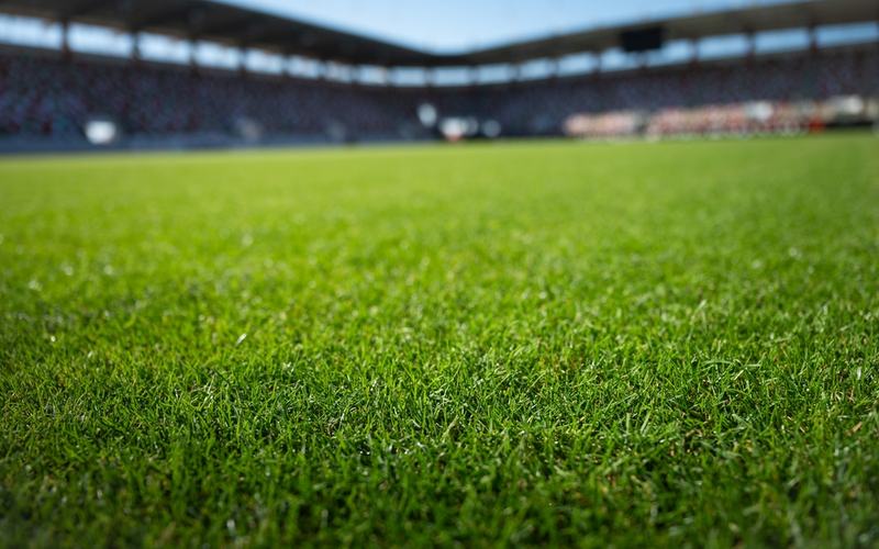 Turf at Stadium - Shutterstock