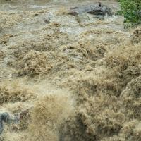 Nepal Flood