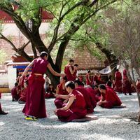 Monks in Tibet - EL_Images / Shutterstock
