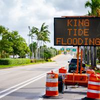 King Tide Flooding - Shutterstock