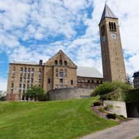 Cornell University - Shutterstock